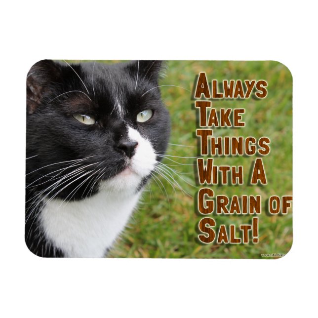 Salt Grain Motivation Cat Uppmuntra citat Magnet (Horisontell)