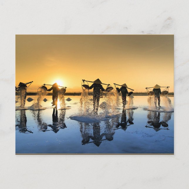 Salt Harvesting i Vietnam Vykort (Framsida)