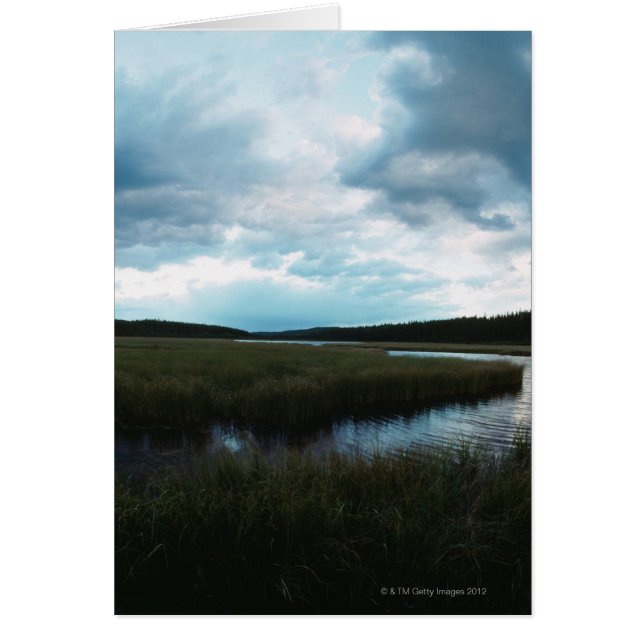 Salt marsh hälsningskort (Framsidan)