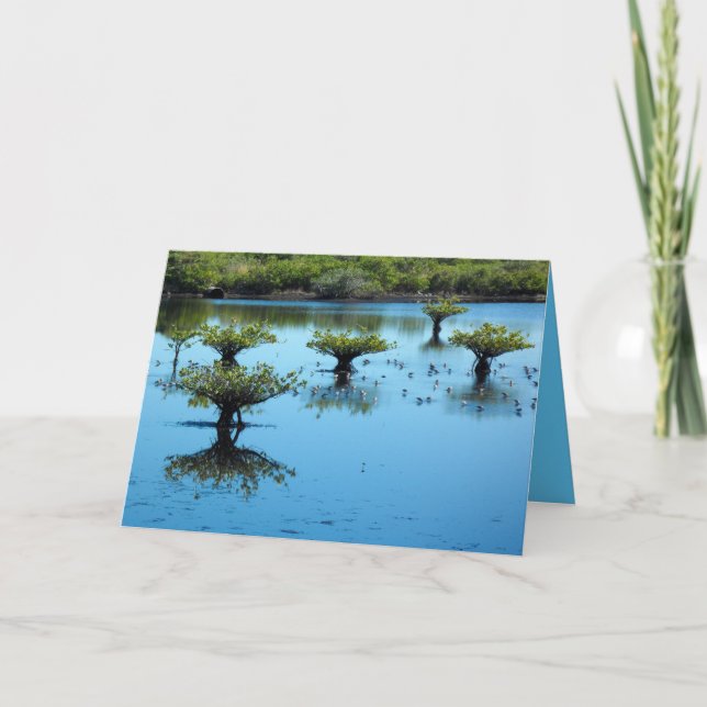 Salt Marsh med Mangroveshälsningkortet Kort (Framsida)