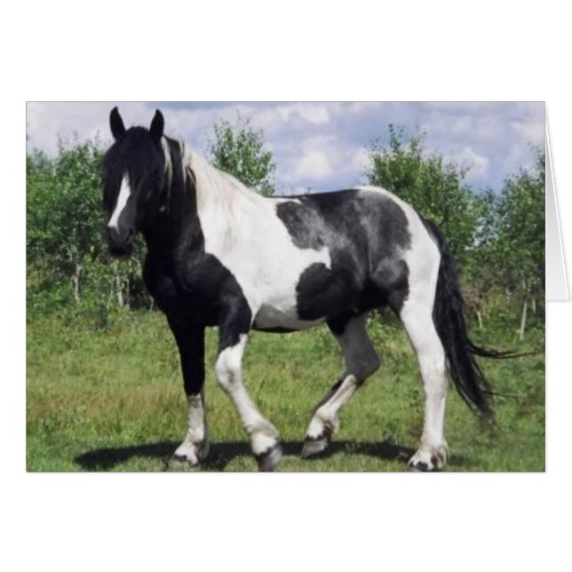 Salt OBS Kort (Framsidan Horizontal)