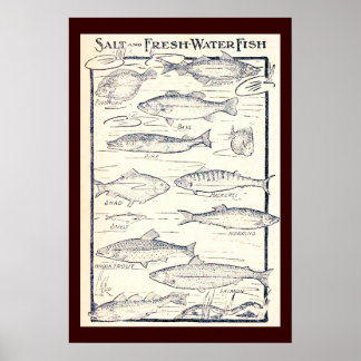 Salt- och färsk Vatten-fisk Poster