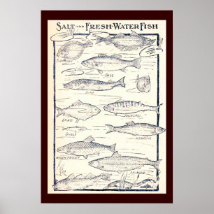 Salt och sötvattenfisk poster
