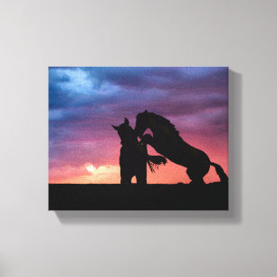 Salt River vild horse sunset 10x8 Wrapped canvas