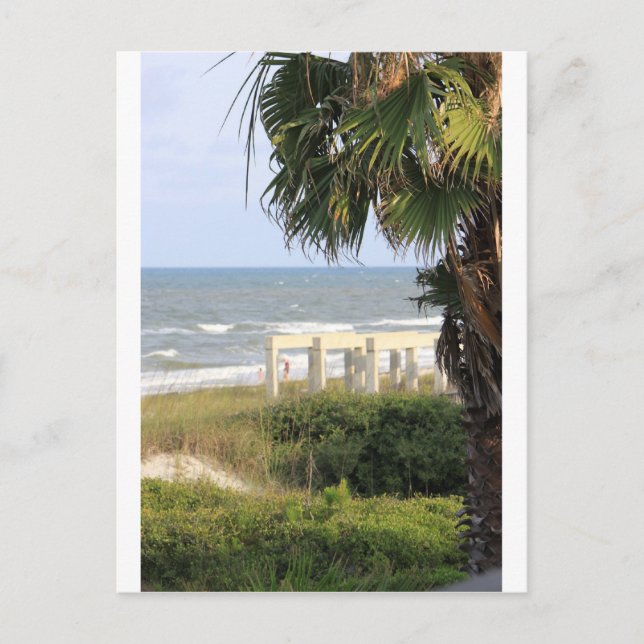 Salt sjöjungfru för hav för uddSan Blas hav Vykort (Framsida)