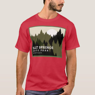 Salt Vår State Park Pennsylvania Forest Sunris T Shirt