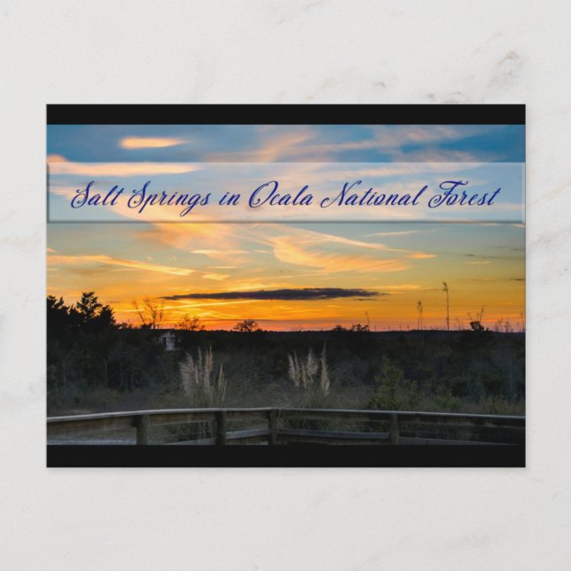 Salt Vår vykort (Framsida)