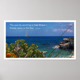 Salt Vatten Cure Island Poster