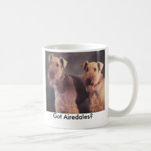 Salta och Ritz, harAiredales? Kaffemugg