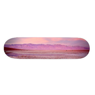 Salta vatten sjön Death Valley Old School Skateboard Bräda 18 Cm