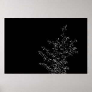 Saltbush Atriplex Löv Nature Minimalistic Poster