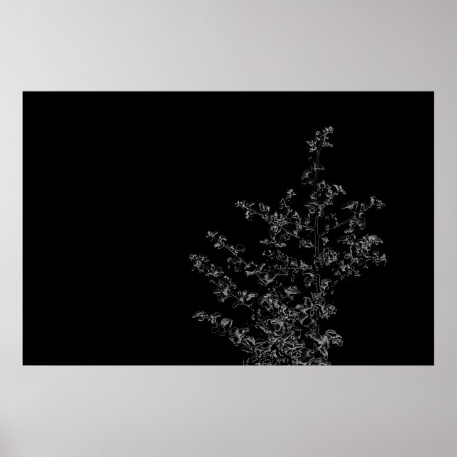 Saltbush Atriplex Löv Nature Minimalistic Poster (Framsidan)