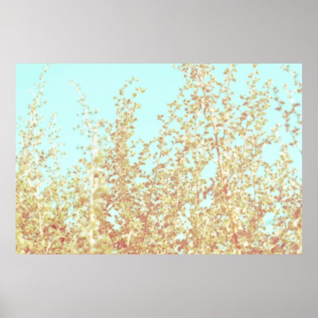 Saltbush Atriplex Löv Nature Minimalistic Poster (Framsidan)