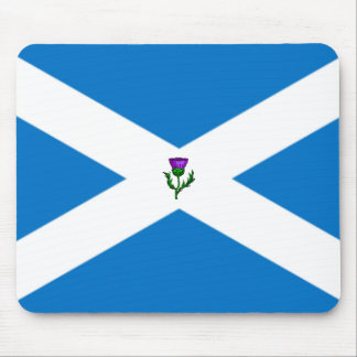 saltiremusen vadderar vid highsaltire musmatta