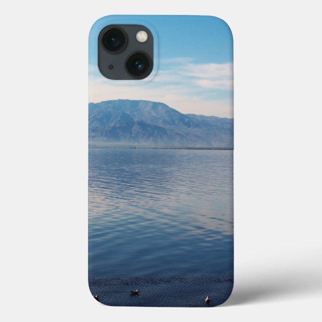 Salton Sea iphone case (Baksida)