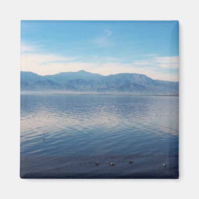 Salton Sea Magnet (Framsidan)