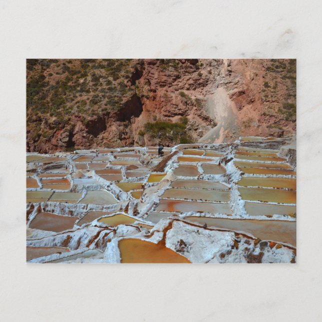 Saltpannor av maras, Peru Vykort (Framsida)
