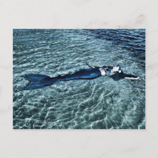 SaltvattenSjöjungfru Vykort