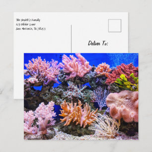 Saltwater Aquarium - Korallrev Vykort