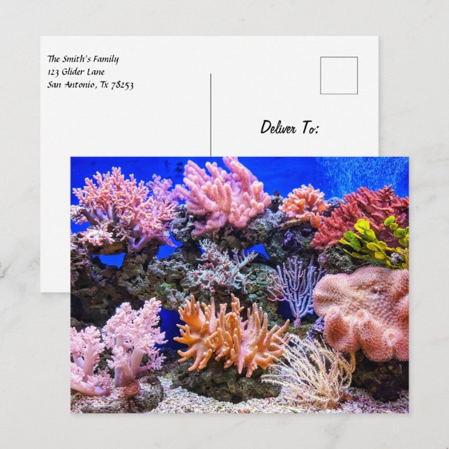 Saltwater Aquarium - Korallrev Vykort (Fram/baksida)