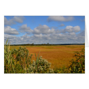 Saltwater Marsh Notecard OBS Kort