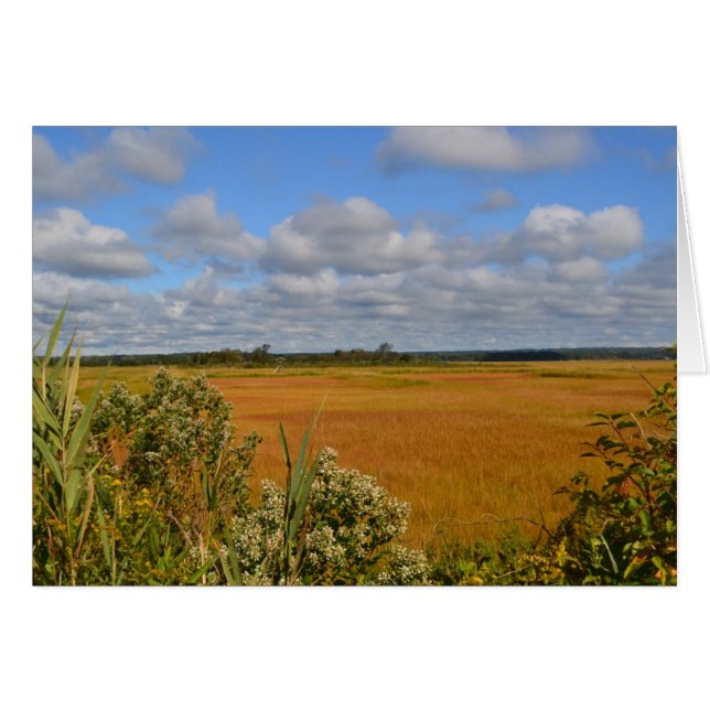 Saltwater Marsh Notecard OBS Kort (Framsidan Horizontal)