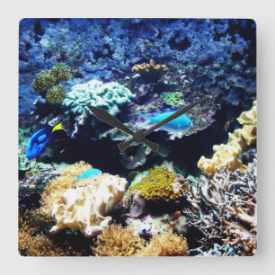 Saltwaterakvariet Square tar tid på Fyrkantig Klocka