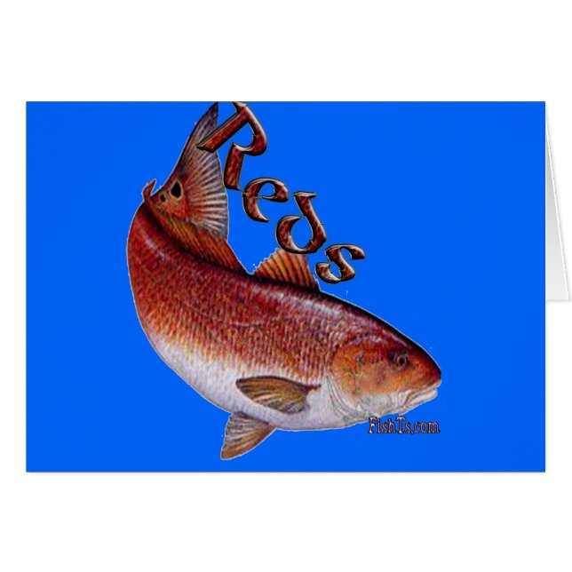 Saltwatersamling av fisken hälsningskort (Framsidan Horizontal)