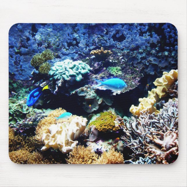 Saltwatertankmousepad 1 musmatta (Framsidan)