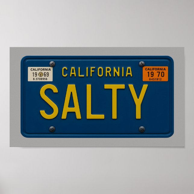 Salty - Retro 1969 California License Plate Art Poster (Framsidan)