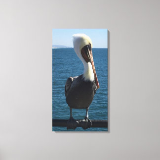 Salty Sea Pelican Canvas