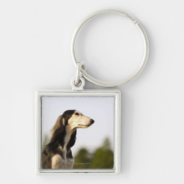 Saluki 2 fyrkantig silverfärgad nyckelring (Framsidan)