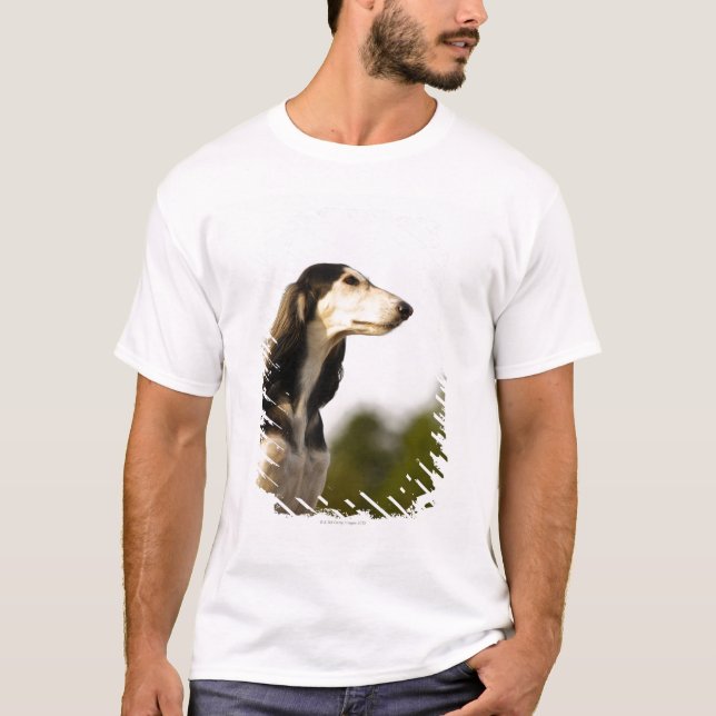 Saluki 2 tee (Framsida)