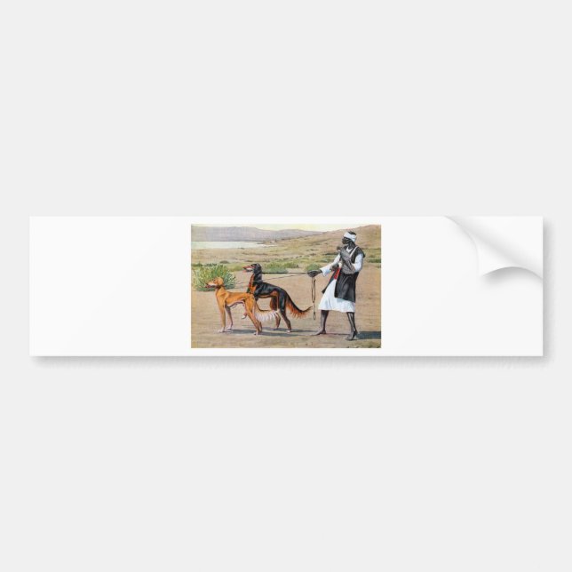 saluki bildekal (Framsidan)