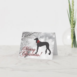 Saluki God Jul  Kort