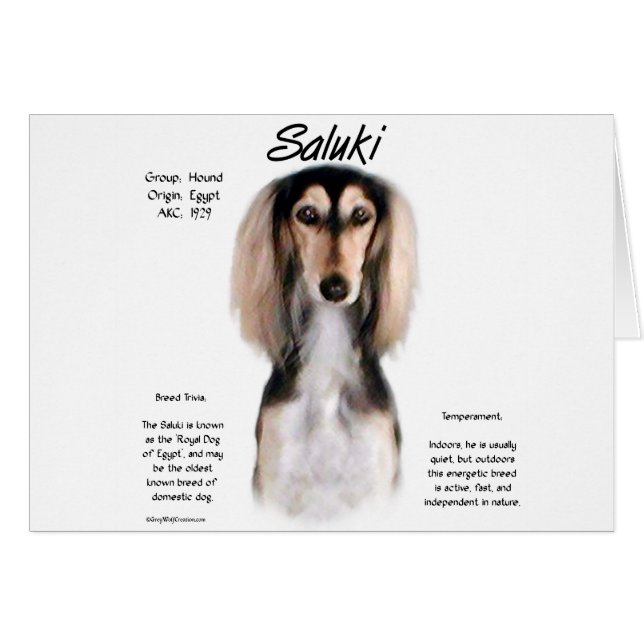 Saluki-historikdesign Hälsningskort (Framsidan Horizontal)