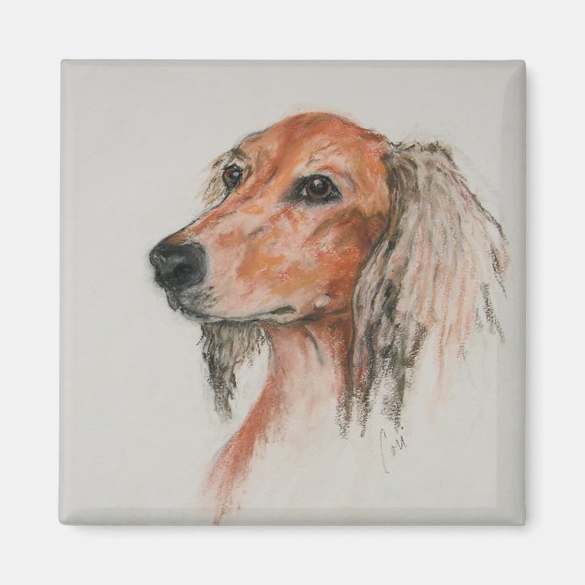 Saluki Hund Art Magnet (Framsidan)