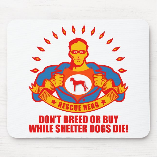 Saluki Musmatta (Framsidan)