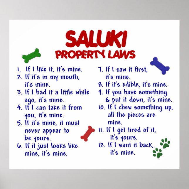 SALUKI PL2 POSTER (Framsidan)