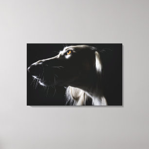 Saluki porträtt canvastryck