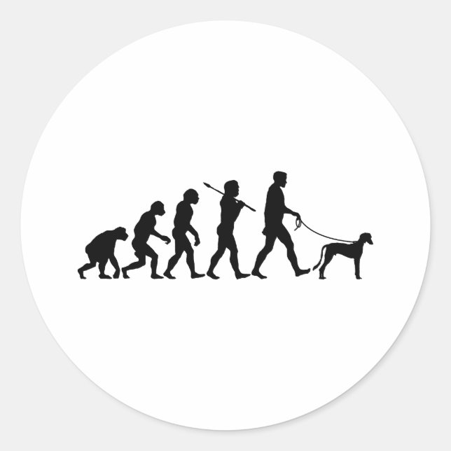 Saluki Runt Klistermärke (Framsida)