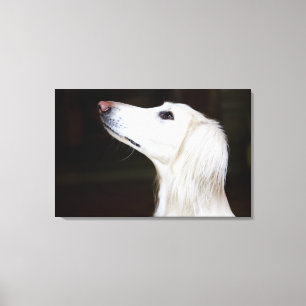 Saluki Tittar upp Canvastryck