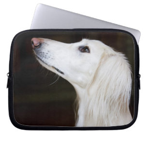 Saluki tittar upp laptop fodral