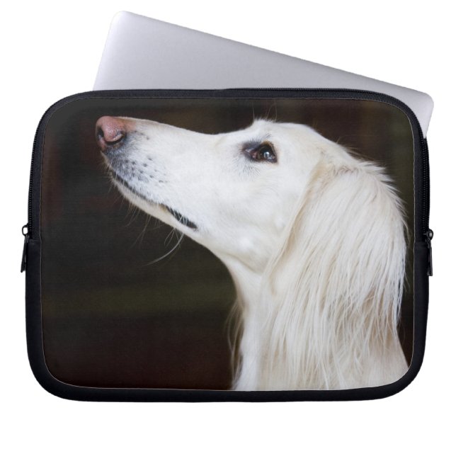 Saluki tittar upp laptop fodral (Framsidan)