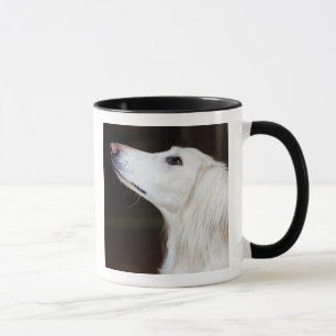 Saluki tittar upp mugg