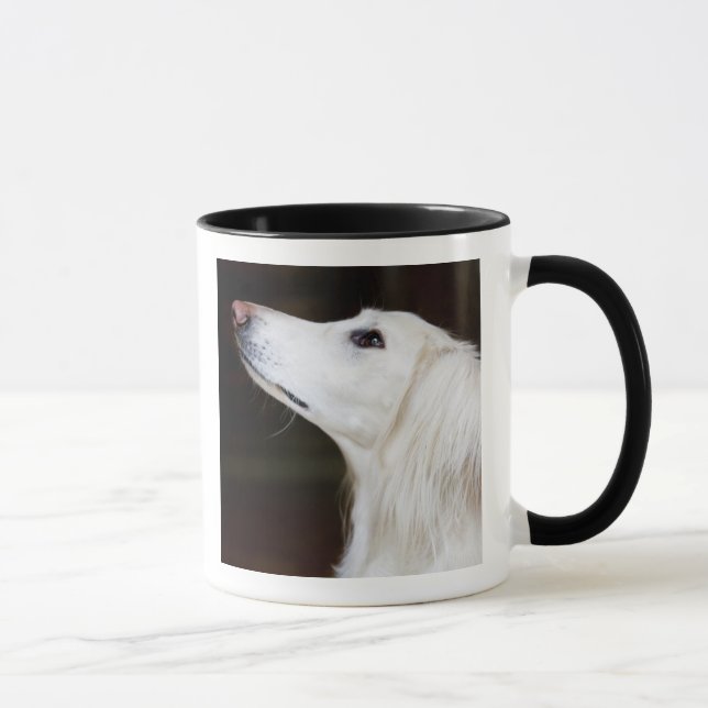 Saluki tittar upp mugg (Höger)