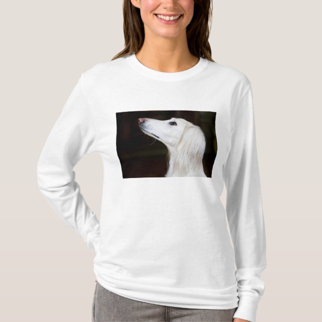 Saluki tittar upp t-shirt (Framsida)