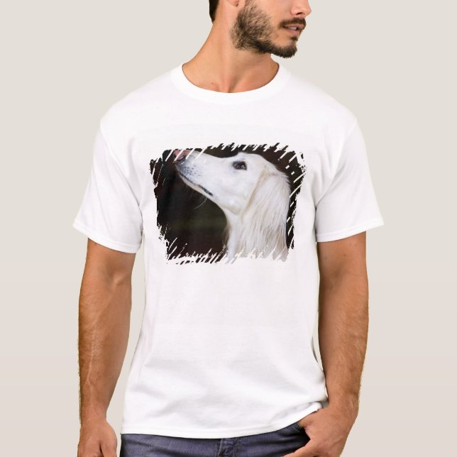 Saluki tittar upp t-shirt (Framsida)