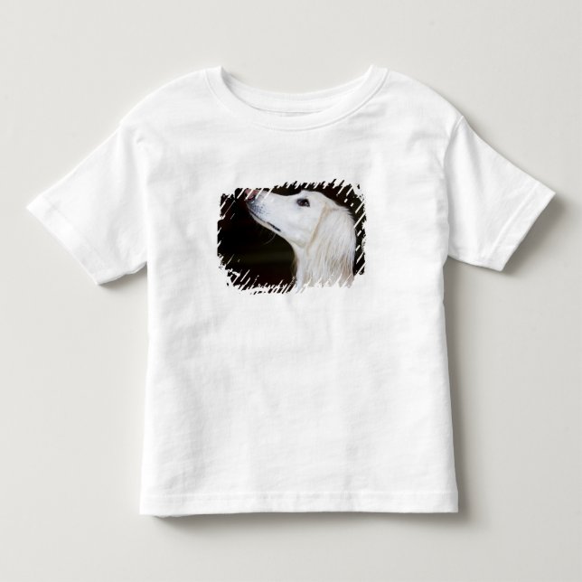Saluki tittar upp tee shirt (Framsida)