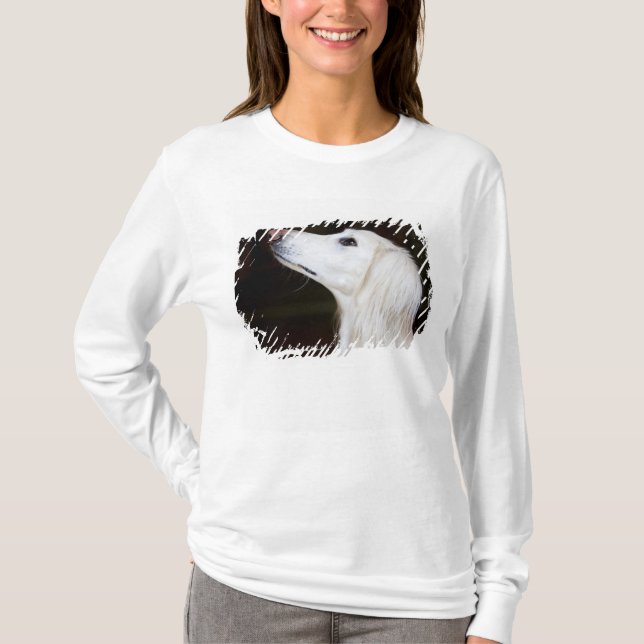 Saluki tittar upp tröja (Framsida)